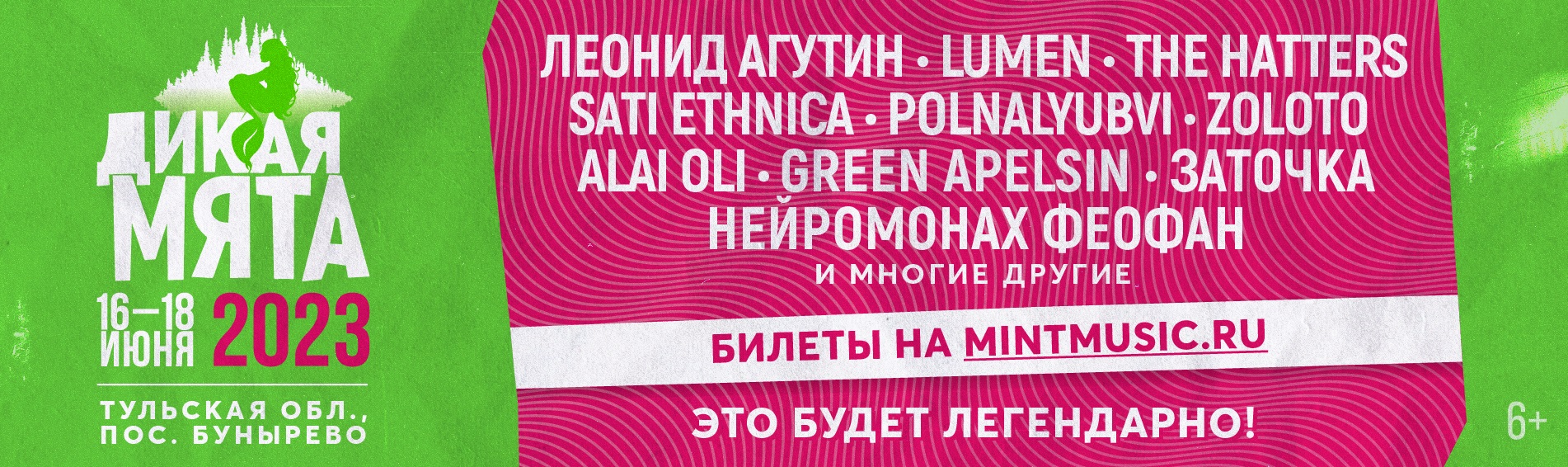Дикая Мята 2023
