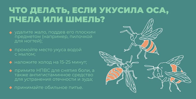 правила.jpeg