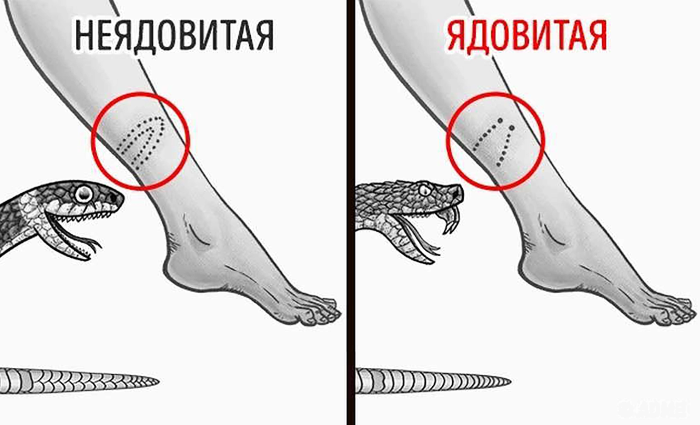 Безымянный.png