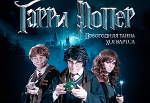 Гарри Поттер и Новогодняя тайна Хогвартса