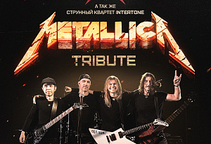 Metallica Tribute Show