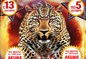 Цирк Шапито "Маска" г. Красноярск