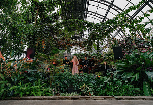 Музыка в Оранжерее. Леди советской эстрады